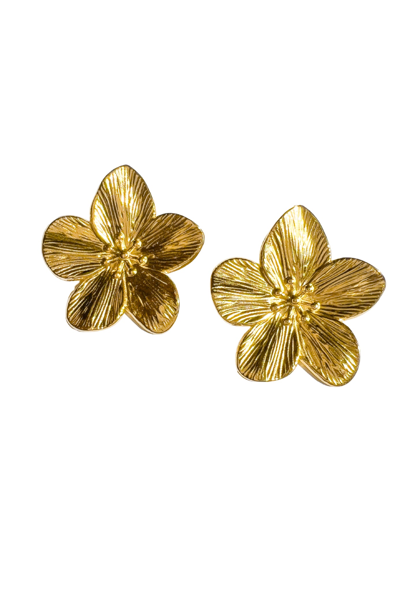 Boucles DELICI
